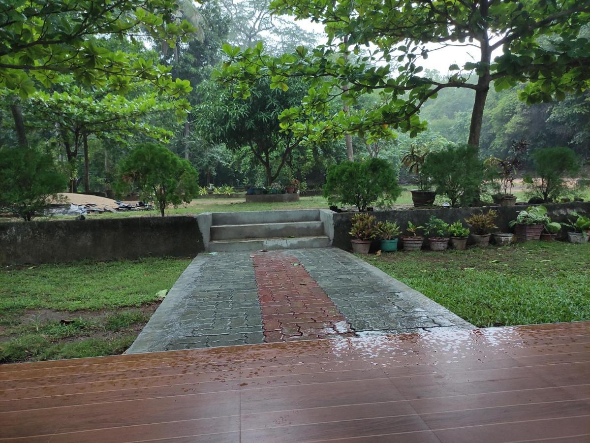 Deer Garden Guest Hotel โปลอนนารูวา ภายนอก รูปภาพ