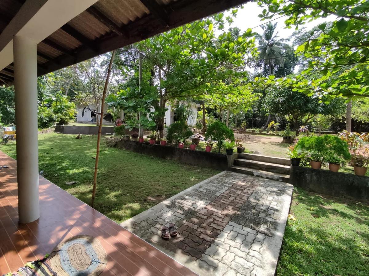 Deer Garden Guest Hotel โปลอนนารูวา ภายนอก รูปภาพ