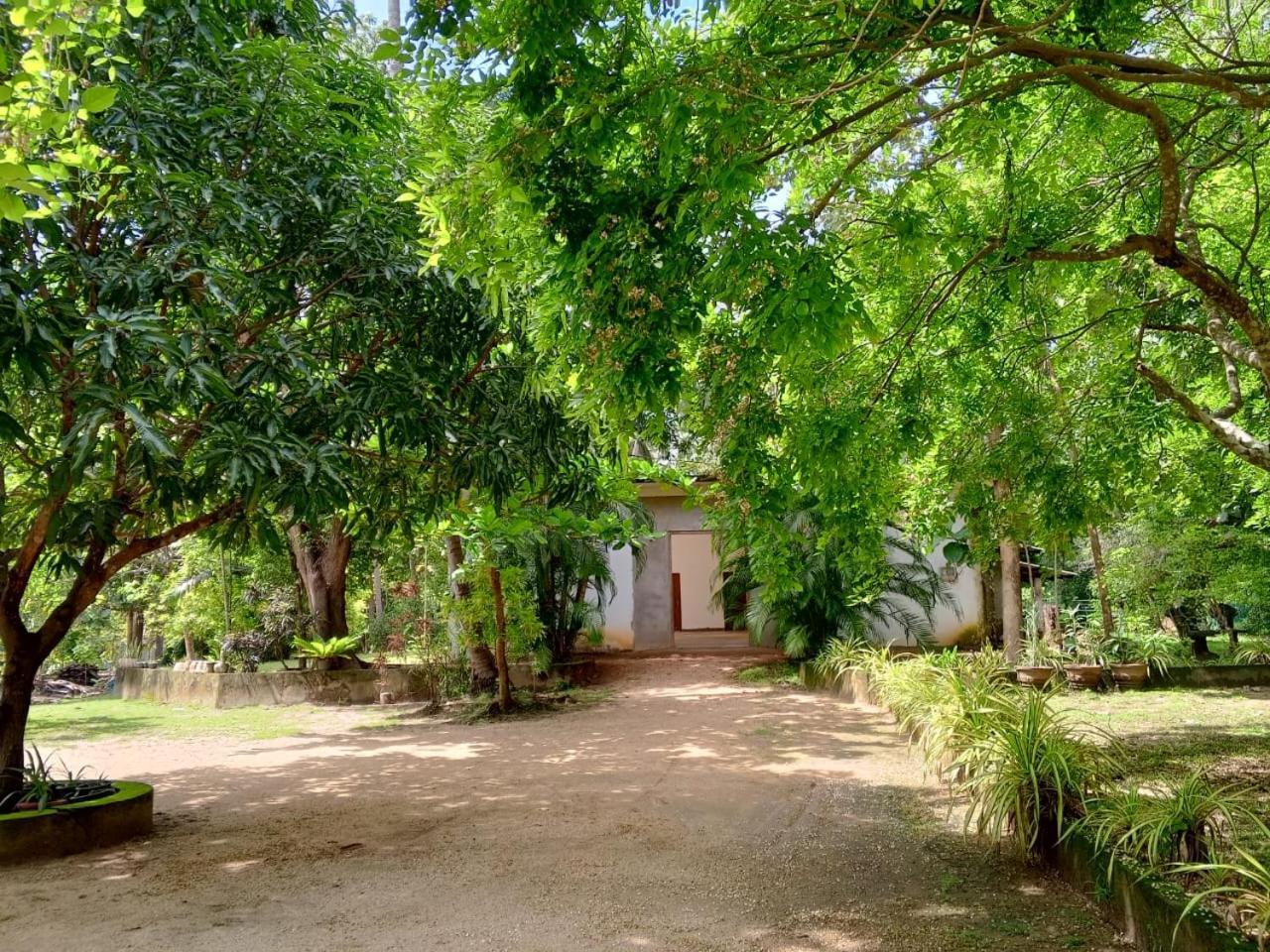 Deer Garden Guest Hotel โปลอนนารูวา ภายนอก รูปภาพ